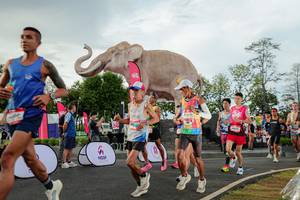 BIB: 
                            <button type="button" onclick="openModal(26528289)" class="btn btn-primary btn-sm float-right btn-popup" data-toggle="modal" data-target=".modal-high-quality">
                        <i class="fas fa-shopping-cart"></i> Add to Cart
                    </button>
                                            <button type="button" onclick="isThisMe(26528289, true)" class="btn btn-success btn-sm float-right btn-popup btn-isme hidden" data-toggle="tooltip" data-placement="bottom" title="นี่คือรูปของคุณใช่ไหม คลิกที่นี่เพื่อเอาเข้าอัลบั้ม">
                        <i class="fas fa-plus"></i> Add to album
                    </button>
                    <button type="button" onclick="isThisMe(26528289, false)" class="btn btn-warning btn-sm float-right btn-popup btn-isnotme hidden">
                        <i class="fas fa-ban"></i> Remove from album
                    </button>